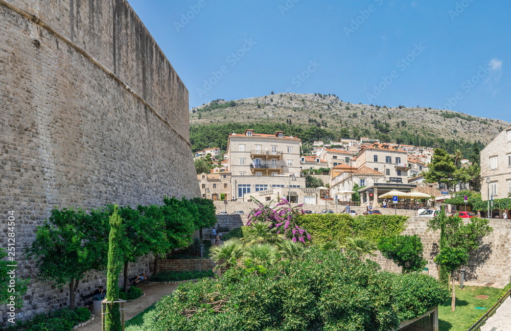 A small garden in Dubrovnik