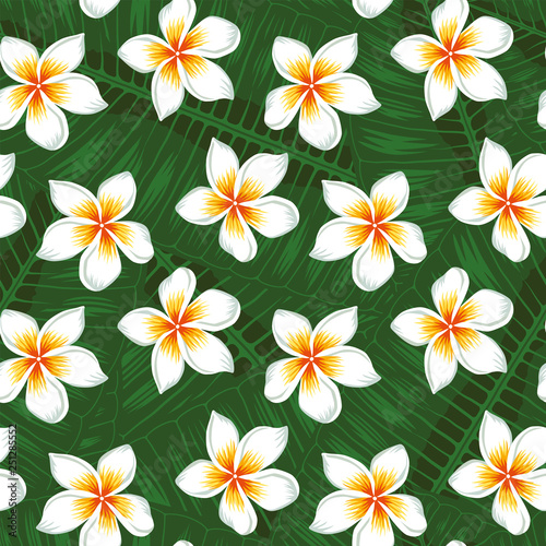 Many plumeria and leaves background seamless