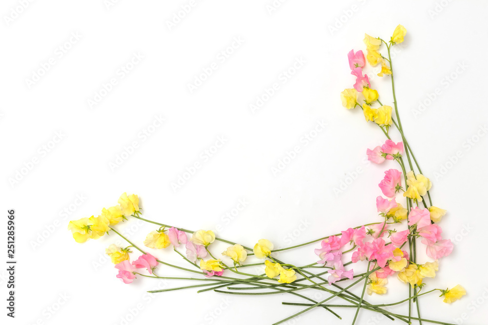Fototapeta premium 春のお花 Flower frame of spring