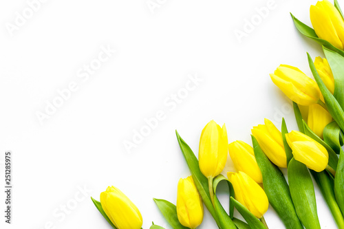 Spring composition. Delicate yellow tulips on white background top view copy space border #251285975