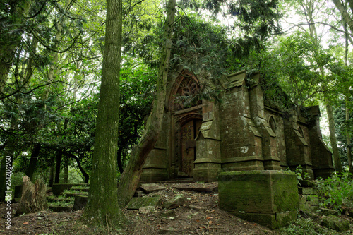 An old chapel being reclaimed by the forest growth. Dumfries, Scotland.