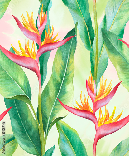 Watercolor heliconia flower. Hand painted seamless pattern design photo