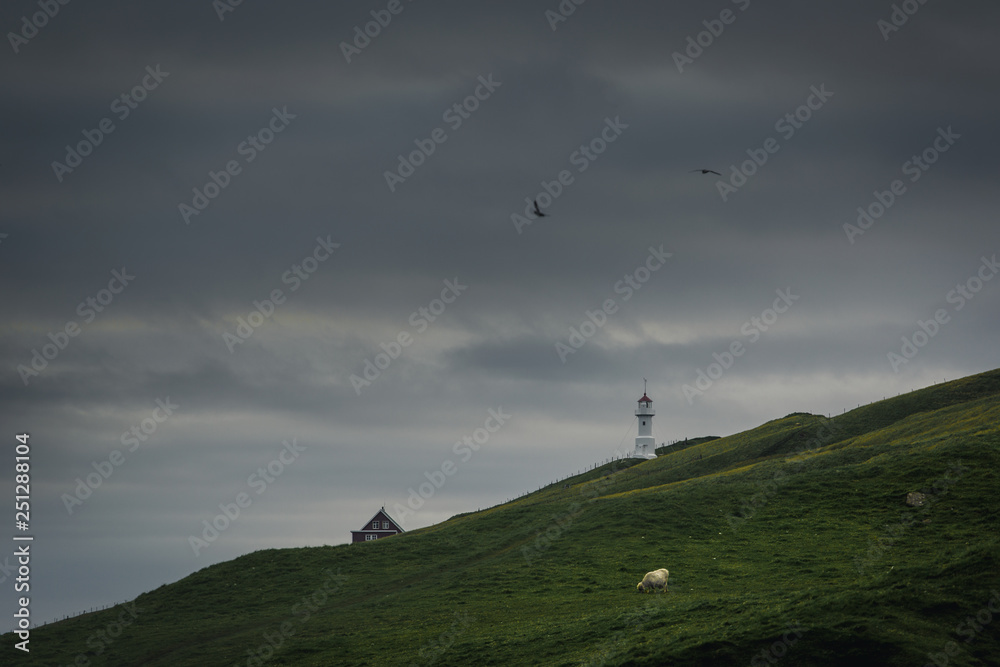 Fototapeta premium Lighthouse on the island Mykines, Faroe Islands
