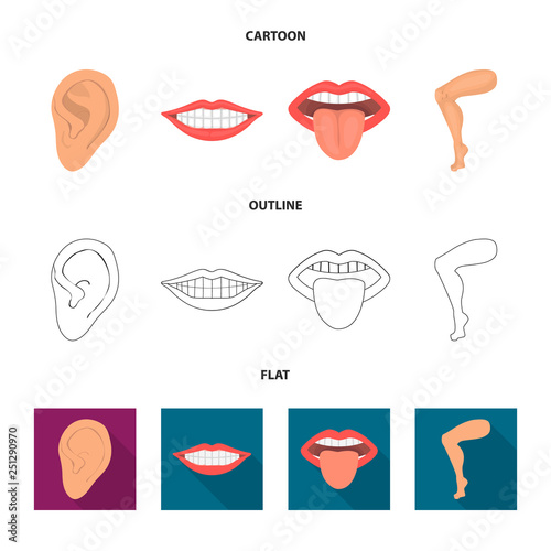 Isolated object of body and part sign. Set of body and anatomy stock vector illustration.