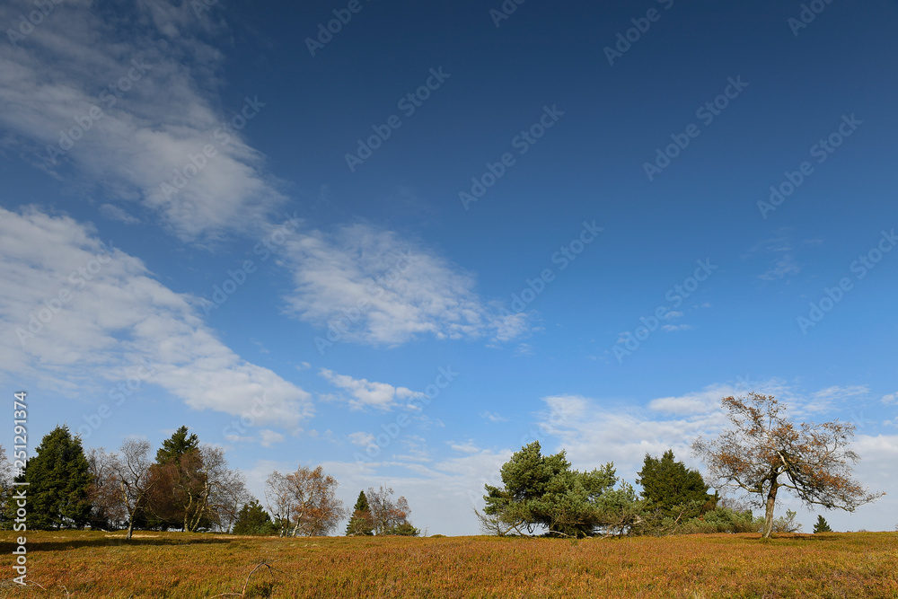 Herbstlandschaft mit blauem Himmel und schönen Wolken