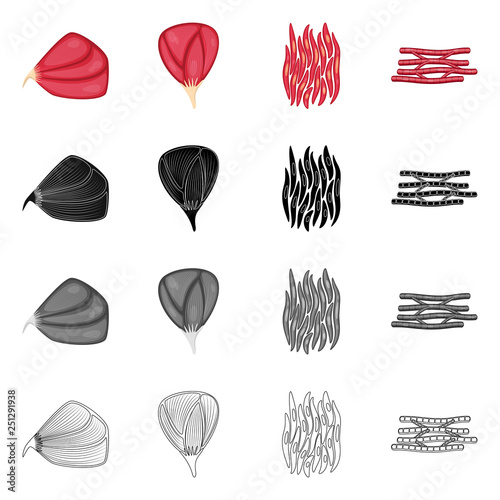 Vector design of fiber and muscular icon. Collection of fiber and body  stock vector illustration.