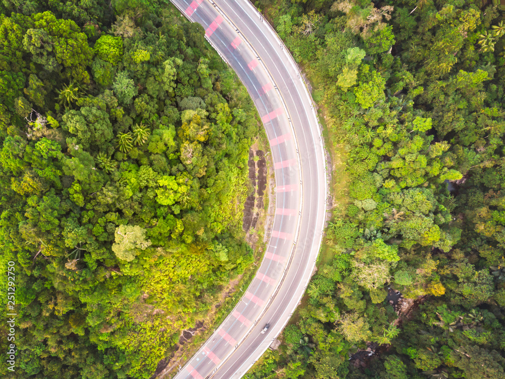 road and forest aerial view