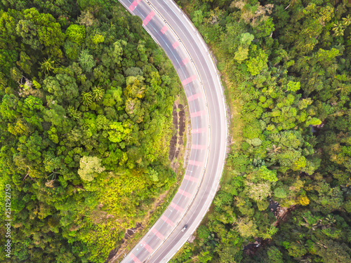 road and forest aerial view