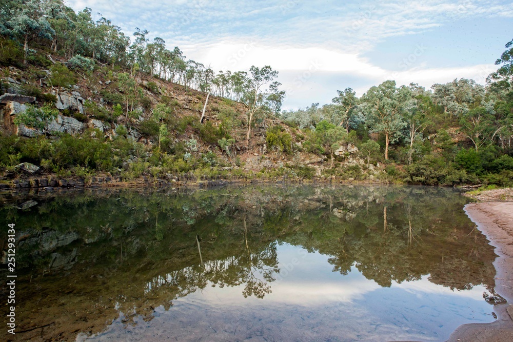 trees and reflections of nature along the Avon River in Valencia Creek,Victoria