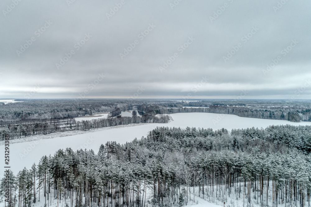 Snow-covered forest, fields covered with white snow. Typical European winter landscape. It's a nasty day.