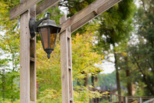 自然とランプ 街灯