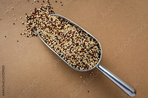 Raw tri-color quinoa on a food scoop in a zero waste shop