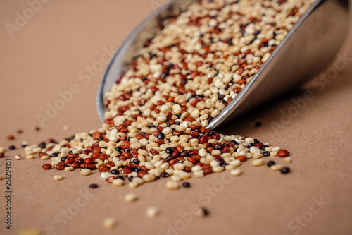 Raw tri-color quinoa on a food scoop in a zero waste shop photo