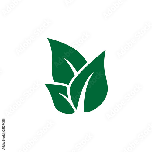 Leaf icon design template vector isolated