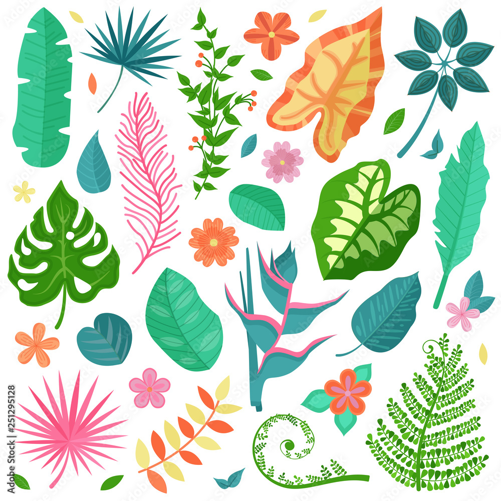 Collection of tropical decorative leaves and flowers, banana palm branches, exotic rainforest plants. Botanical illustration set with summer Hawaiian paradise plant elements and jungle floral foliage.