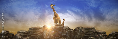 Fototapeta Naklejka Na Ścianę i Meble -  Giraffe at sunset. 3d rendering