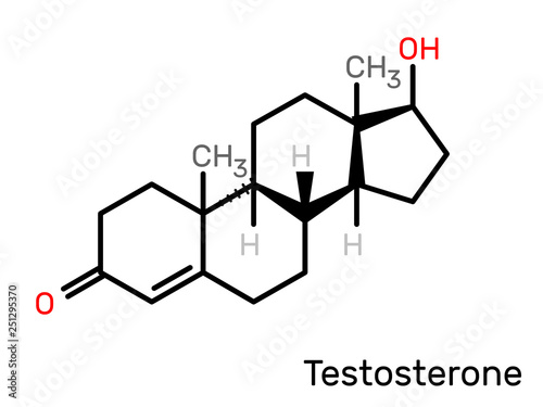 Testosterone hormone structural formula. Vector illustration