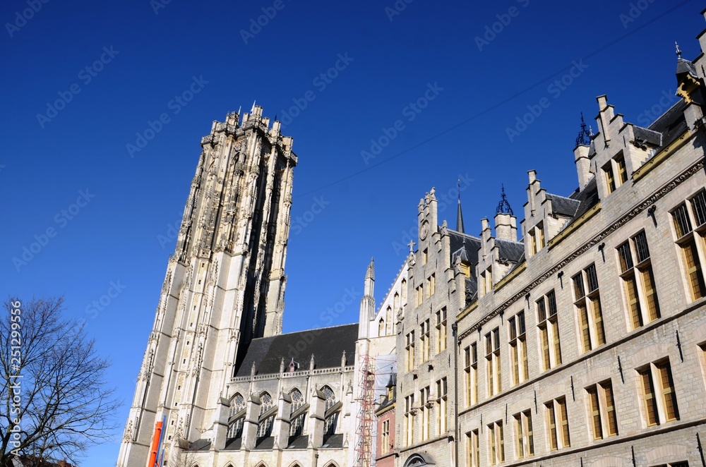 Fototapeta premium Malines : Cathédrale Saint-Rombaut (Belgique)