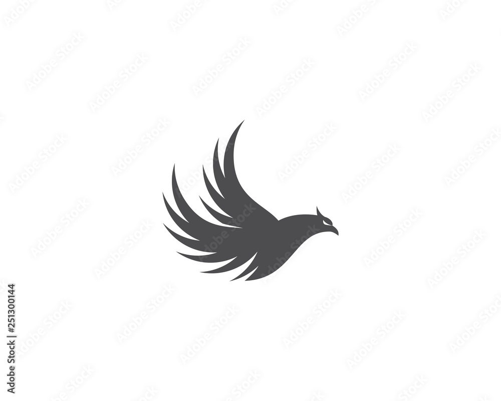 Fototapeta premium Falcon Bird Logo
