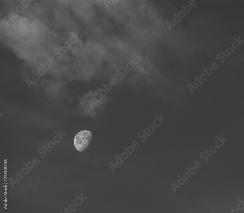 Black and White moon
