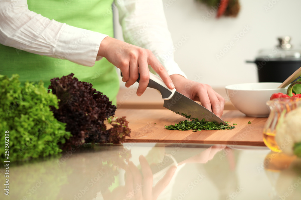 Unknown human hands cooking in kitchen. Woman is busy with vegetable salad. Healthy meal, and vegetarian food concept Unknown human hands cooking in kitchen. Woman is busy with vegetable salad. Healthy meal, and vegetarian food concept
