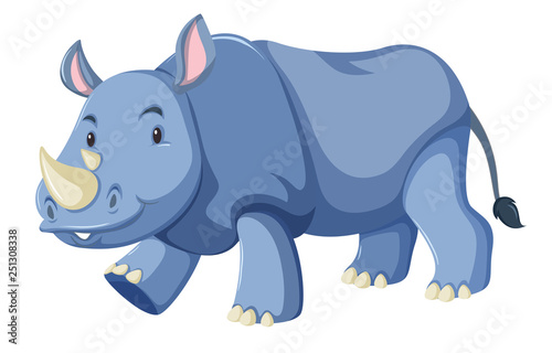 Cute baby rhino white background