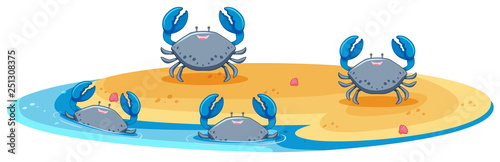 Blue crab on island