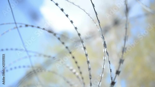 Prison landscape with barbed wire (fence) against the background of birches and sky