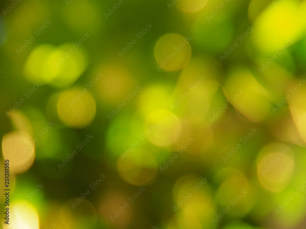 Lichtreflexe Lichtreflexe