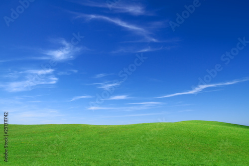 Idyllic view, green field and the blue sky with white clouds © Trutta