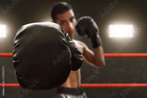 Boxer with boxing gloves © fotokitas