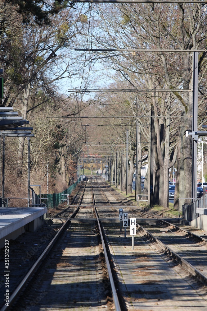 Fototapeta premium Tramway