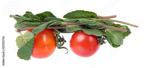 Two red tomatoes and mint branches with fresh green leaves isolated on white background. Ingredients for salad