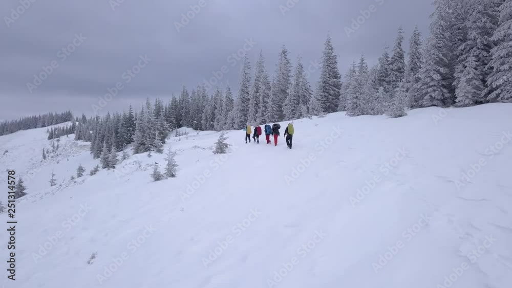 Flying over a group of tourists with backpacks in the winter mountains. Winter climbing in the Carpathian Mountains. Snowy tree branch in a view of the winter forest. Aerial footage, 4K Flying over a group of tourists with backpacks in the winter mountains. Winter climbing in the Carpathian Mountains. Snowy tree branch in a view of the winter forest. Aerial footage, 4K