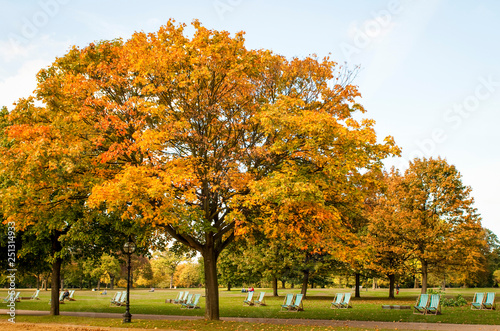 Deckchairs in Hyde Park in autumn, London, Westminster, SW1, UK