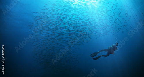 Scuba diver with flock of fish