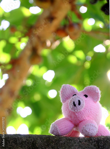 handmade pink pig stand under green tree canopy of fig trees photo