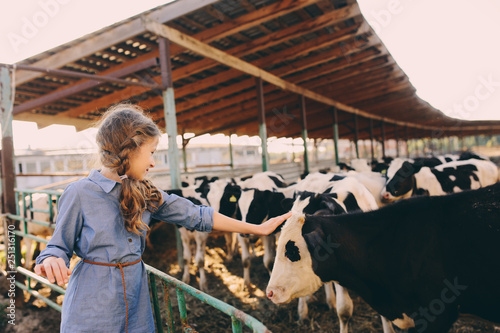 kid girl feeding calf on cow farm. Countryside, rural living, agriculture concept photo