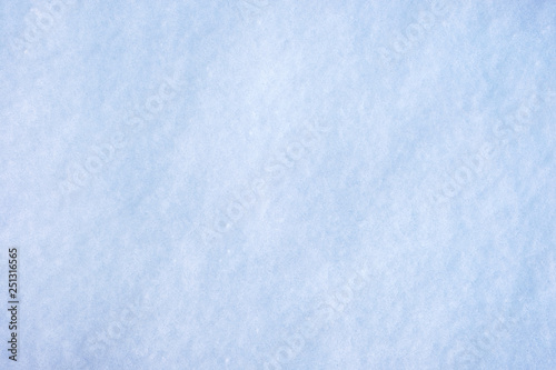 Snow covered texture for background
