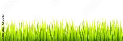 Seamless spring grass lines for edging, footer and decorations. Springtime sprouts grows in a daylight.
