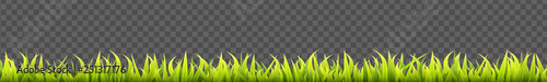 Seamless summer grass panorama. Green springtime herbal lawn. Field or meadow horizontal decoration lines.