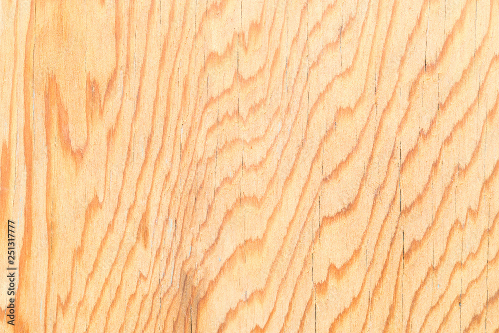 Wood Wood texture with natural pattern Wood Wood texture with natural pattern