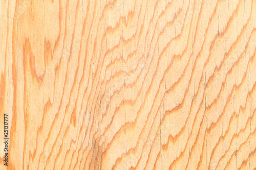 Wood Wood texture with natural pattern