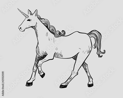 Unicorn. Vector graphic illustration