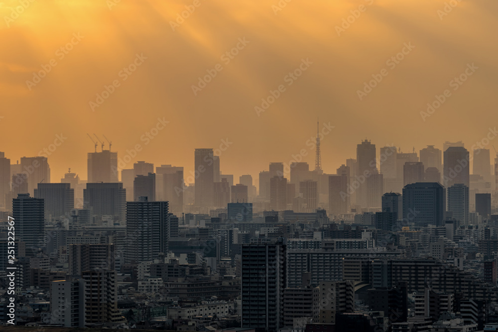 Scene of Tokyo tower locate with various building cityscape at sunset time which have sunbeam from Tower Hall Funabori Observation tower, Japan