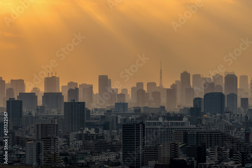 Scene of Tokyo tower locate with various building cityscape at sunset time which have sunbeam from Tower Hall Funabori Observation tower, Japan