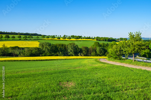 Taunuslandschaft im Frühling