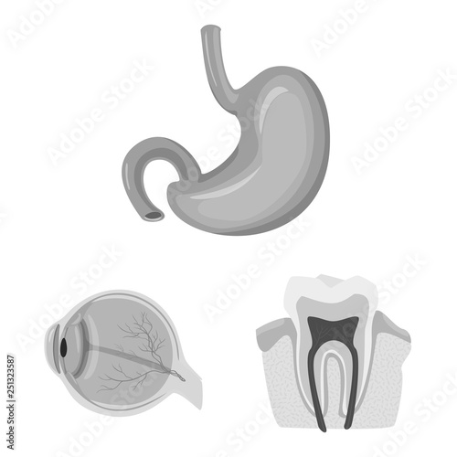 Isolated object of body and human sign. Collection of body and medical stock vector illustration.