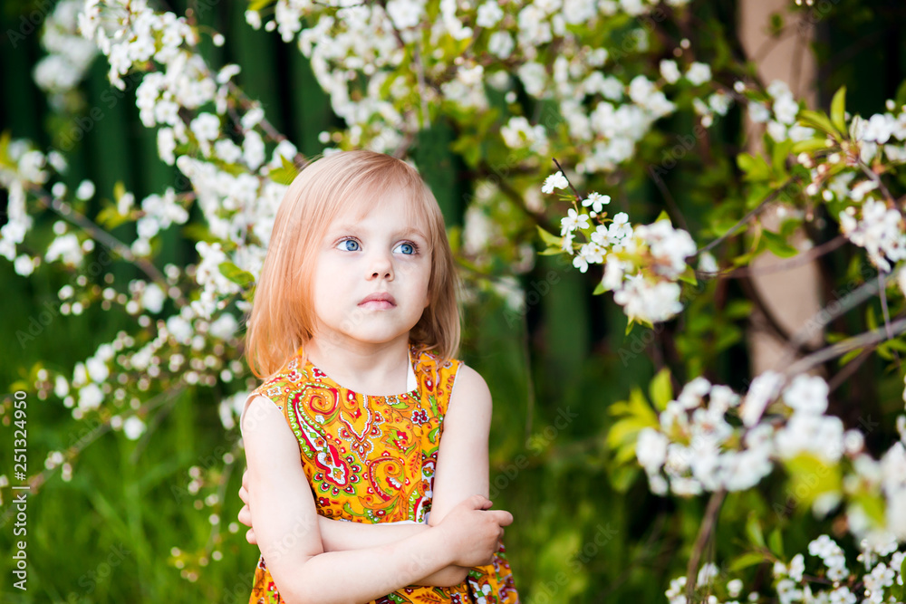 cute little girl near blooming apple trees and cherry cute little girl near blooming apple trees and cherry