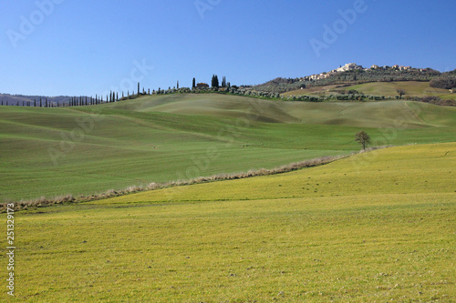 landscape near siena in tuscany © Andrea D'Angiolo